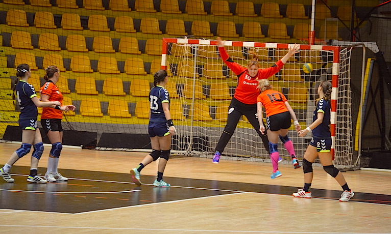 17.kolo:  Šurany – Inter (28:25)